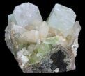 Uniquely Zoned Apophyllite Crystals With Stilbite - India #34064-2